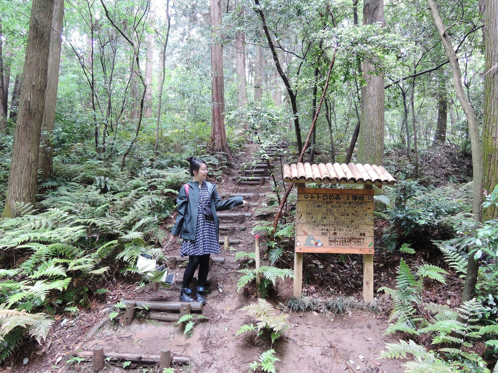 龍貓森林場景